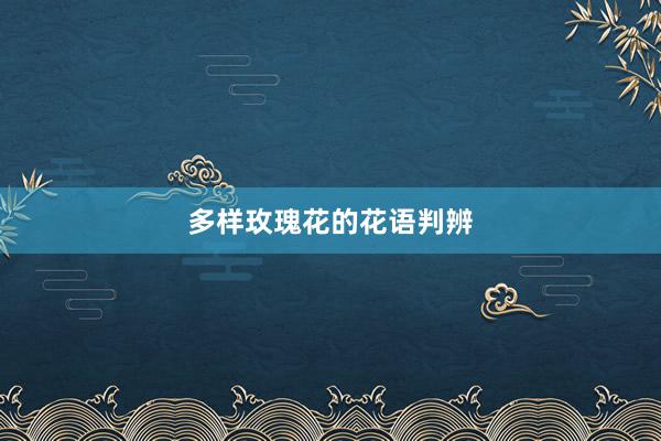 多样玫瑰花的花语判辨