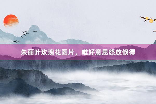 朱丽叶玫瑰花图片，唯好意思怒放倏得