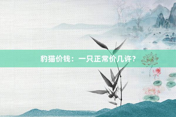 豹猫价钱：一只正常价几许？